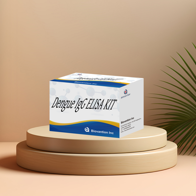Kit ELISA IgG dengue yang dapat disesuaikan dengan sensitivitas tinggi untuk 96 tes/kit di laboratorium klinis