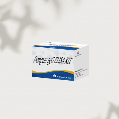 Dengue IgG ELISA Test Kit 96T Human Dengue Virus IgG Antibodi Deteksi Kuantitatif